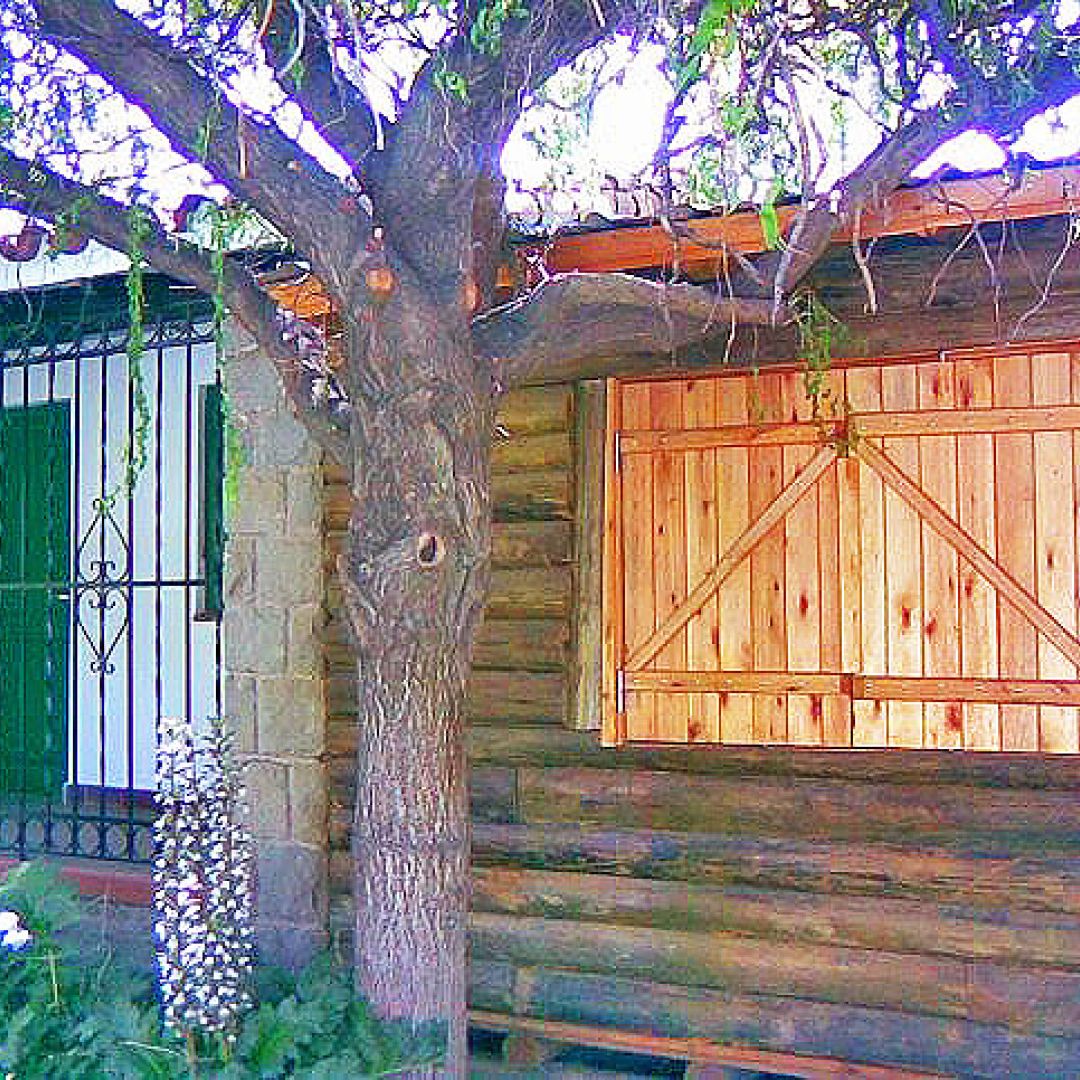 casita-tronco-material-10