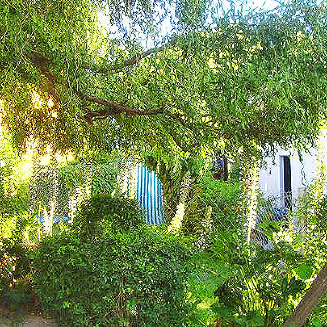 casita-tronco-material-10