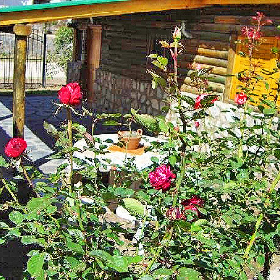 cabanas-1-dormitorio-5